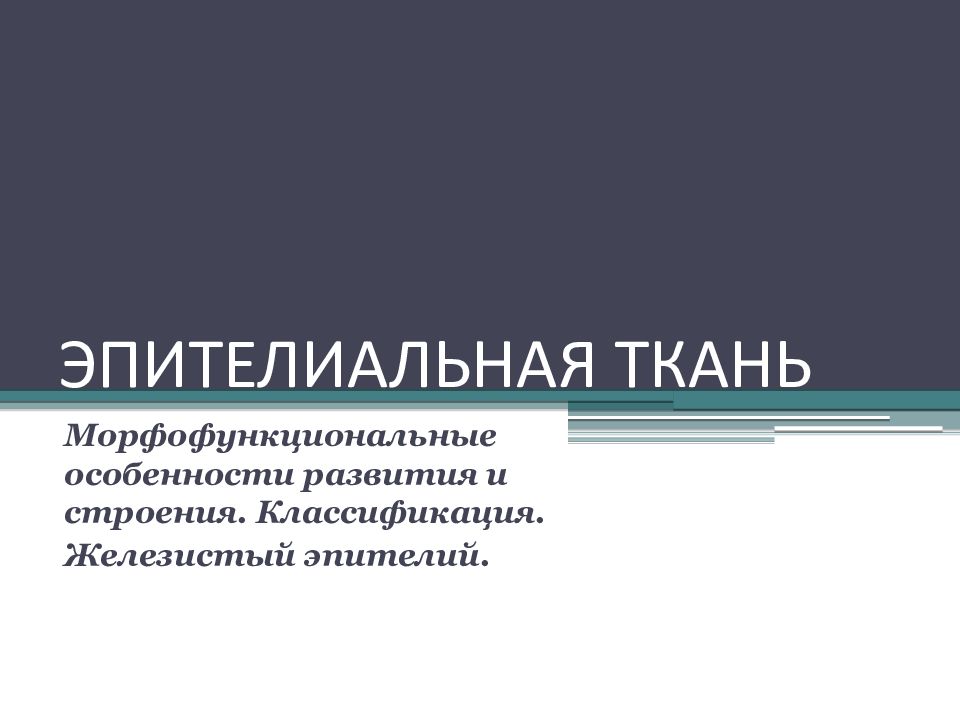 Организация ткани. Общие принципы организации тканей. Презентация компании тканей.