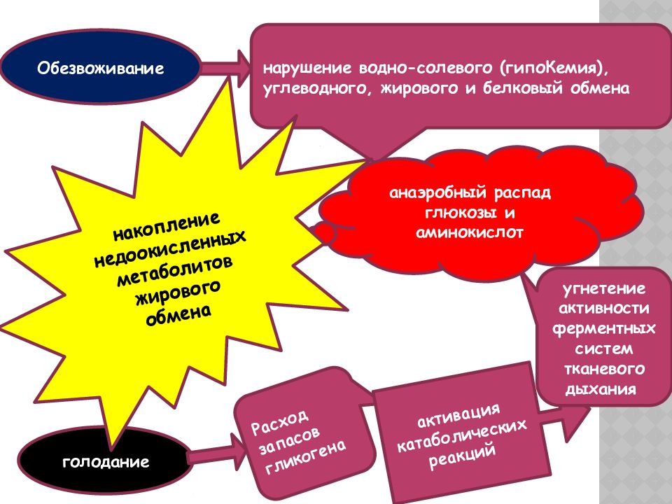 Токсикозы беременных презентация