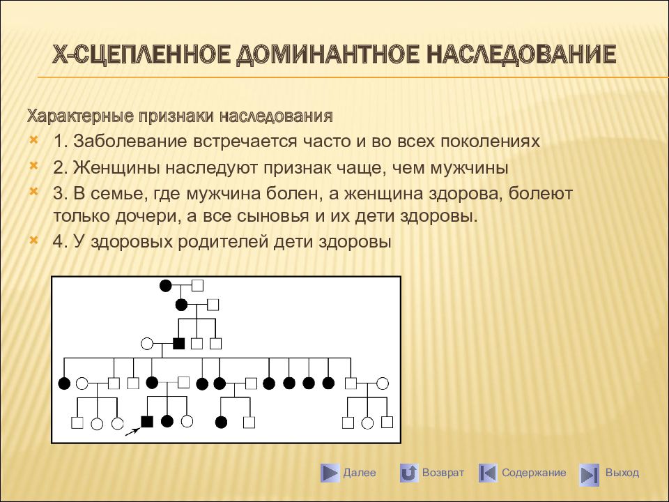 Х рецессивный. Х сцепленный доминантный Тип наследования. Родословные х-сцепленного доминантного типа наследования. X сцепленный доминантный Тип наследования болезни. Сцепленный с полом (х) доминантный Тип наследования.