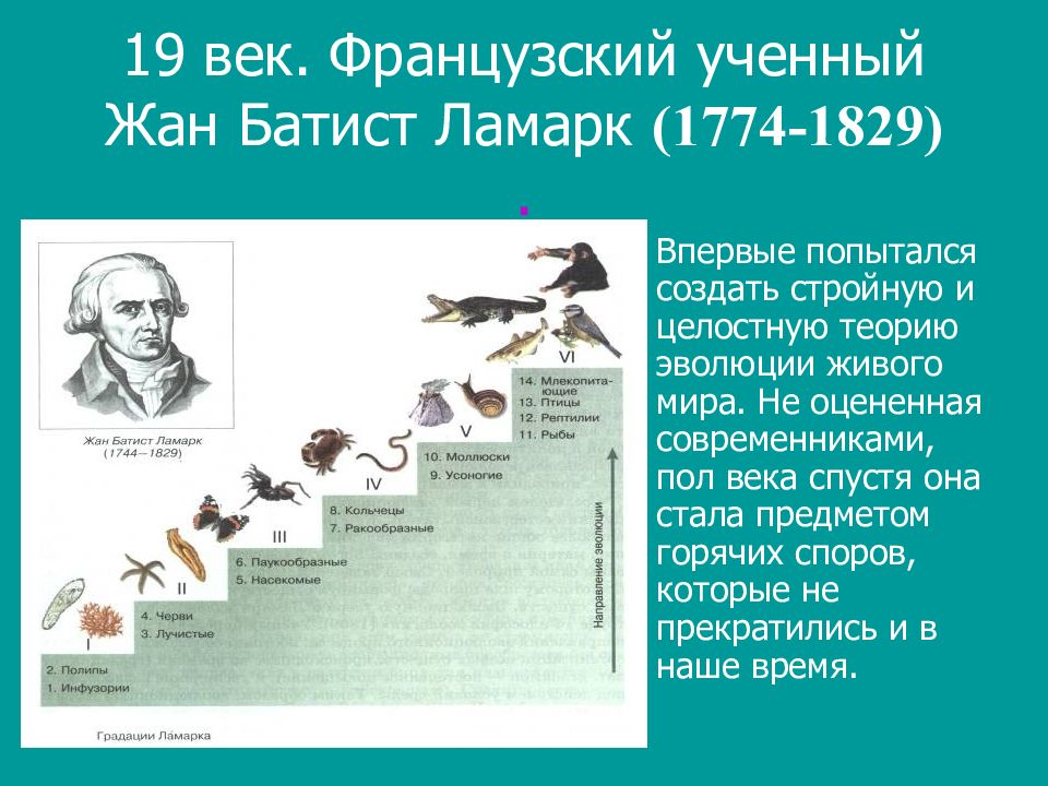 Учение жана батиста ламарка. Эволюционное учение жана Ламарка. Эволюция ж б Ламарка. Эволюционное учение жана Батиста Ламарка.