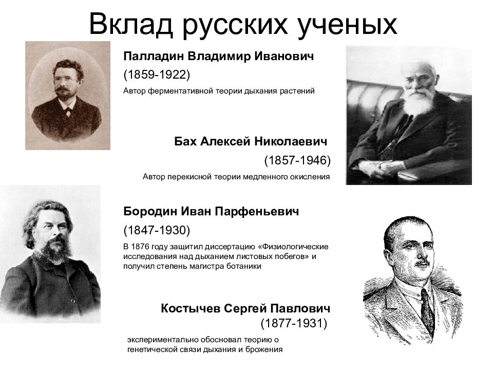 Вклад российских. Палладин Алексей Викторович. Бах Алексей Николаевич презентация. Вклад русских учёных в теорию информации. Иван Парфеньевич Бородин вклад в экологию.