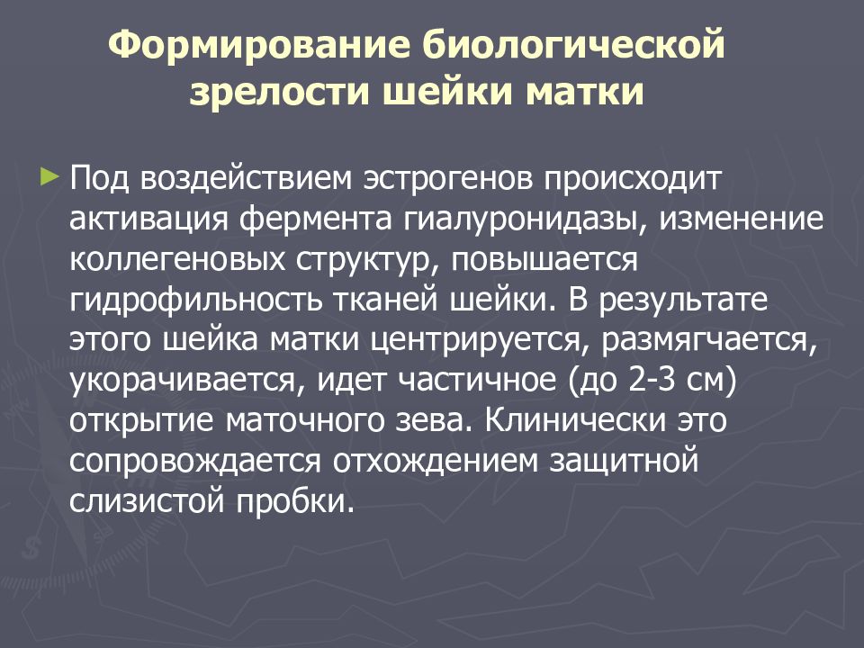 Уровень биологической зрелости. Биологическое созревание это. Биологическая зрелость шейки матки. Оценка уровня биологической зрелости. Признаки характеризующие биологическую зрелость.