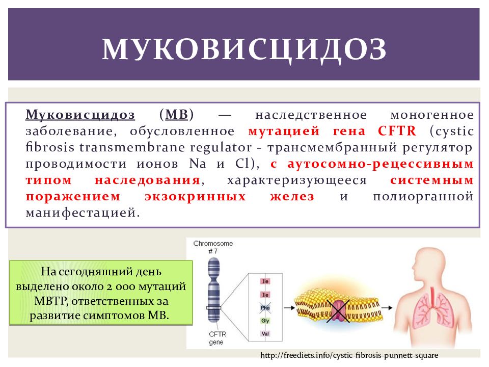 Муковисцидоз презентация по генетике