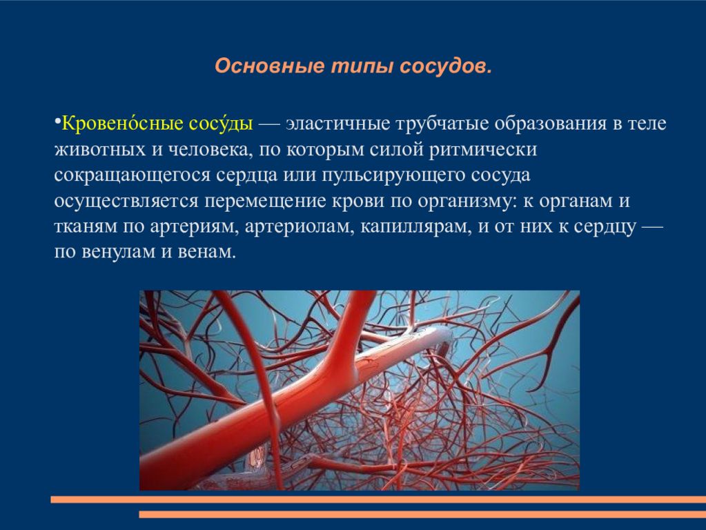 Сосудистая система человека образована сосудами трех. Артерии сосуды капилляры. Сосуды артерии вены капилляры. Артерии - самые мелкие сосуды. Капилляры арт.