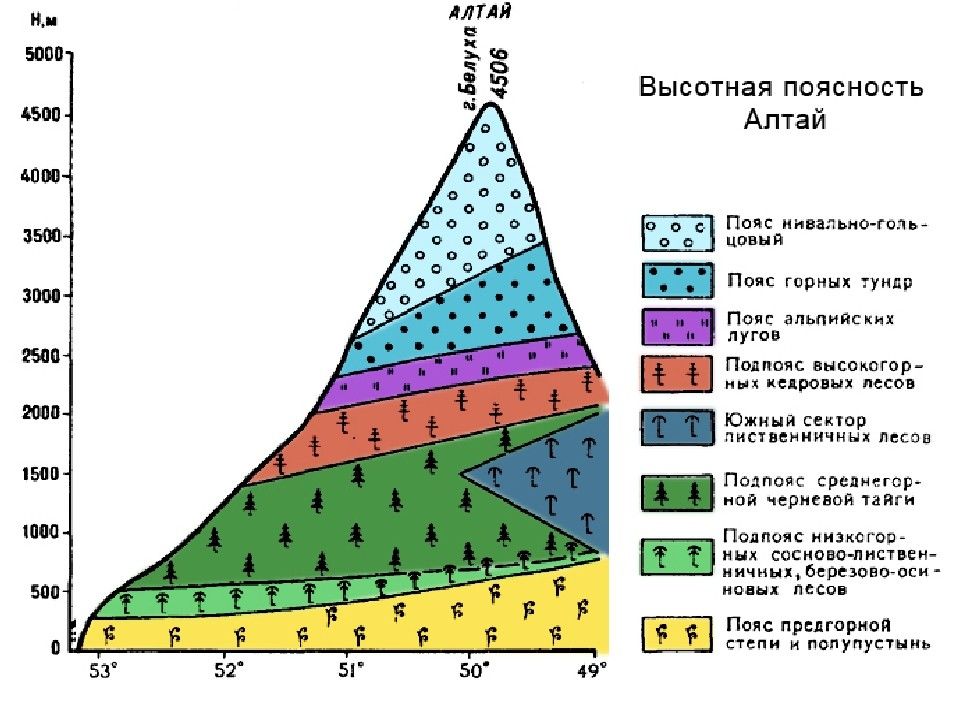 Высотная поясность алтая презентация