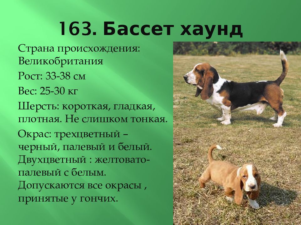 Размер и вес: