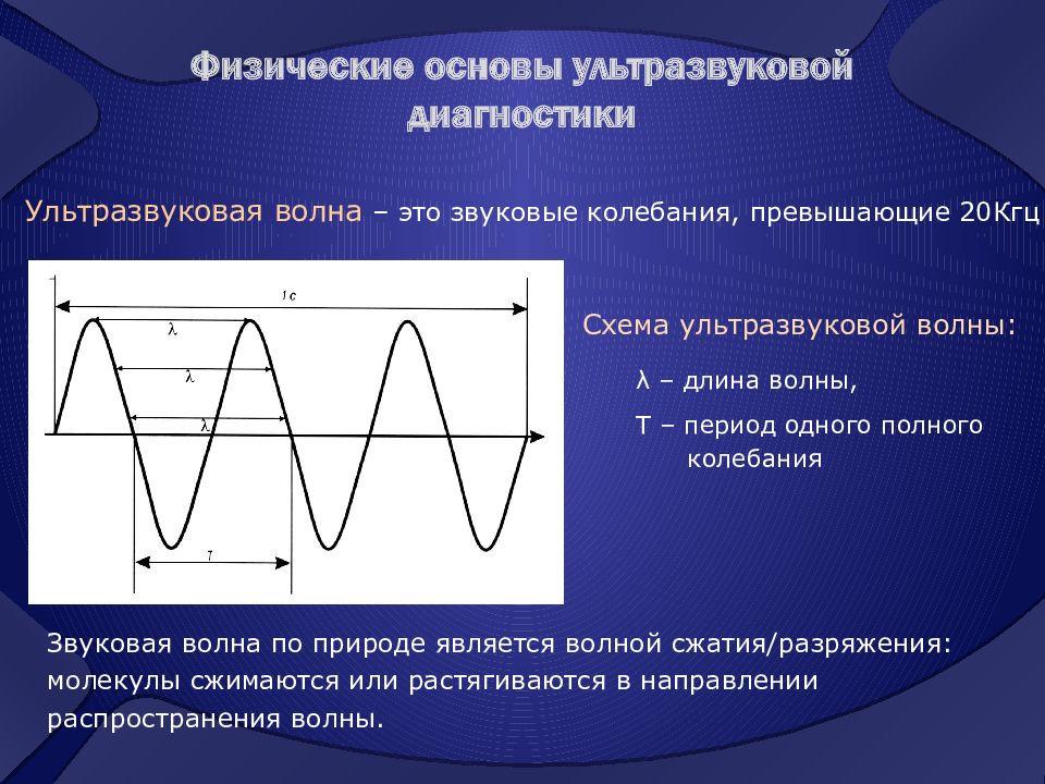 Основы ультразвуковой диагностики презентация