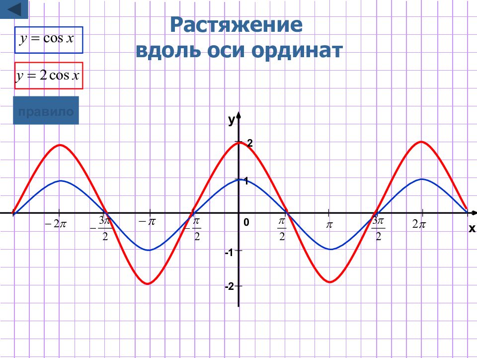 Растяжение и сжатие графиков функций презентация