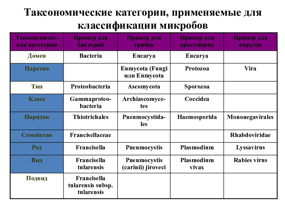 Расположите таксономические группы. Классификация микроорганизмов таксономические категории. Таксономические категории микроорганизмов схема. Классификация микроорганизмов микробиология таблица. Таксономическая классификация бактерий.