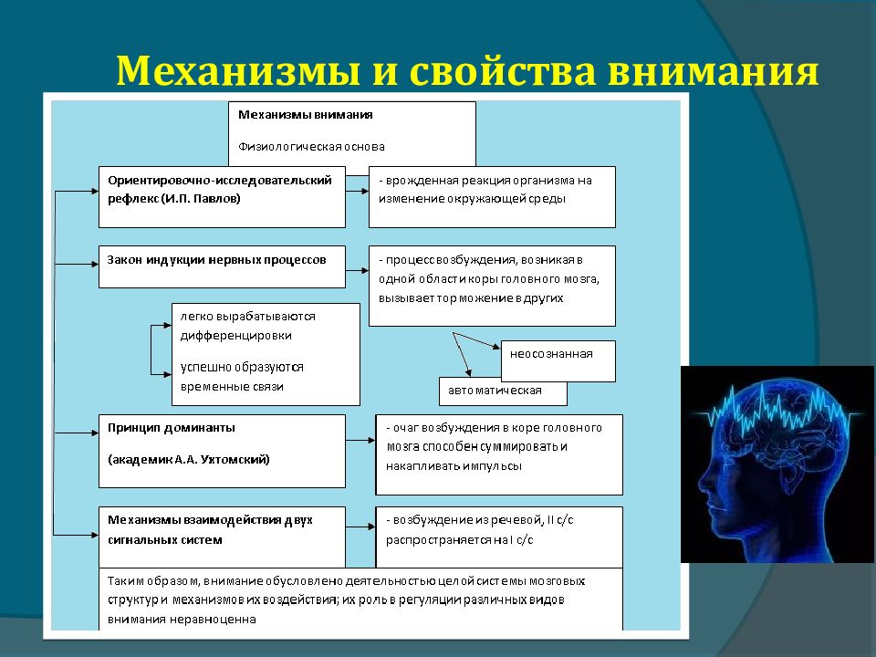 Виды памяти презентация по психологии