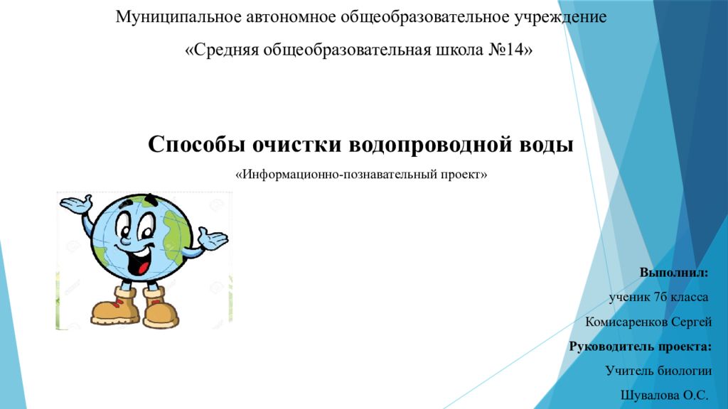 Муниципальное автономное общеобразовательное учреждение «Средняя