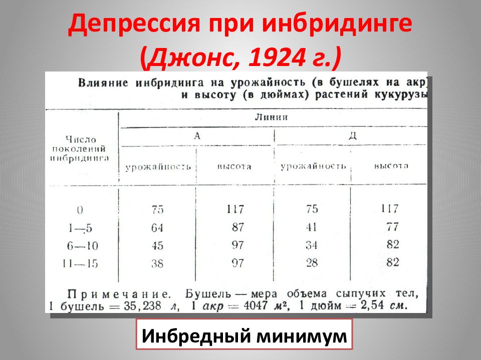 Инбредная депрессия. Инбридинг и инбредная депрессия. Инбридинг депрессия. Инбридинг у животных и депрессия. Инбредная депрессия пример.