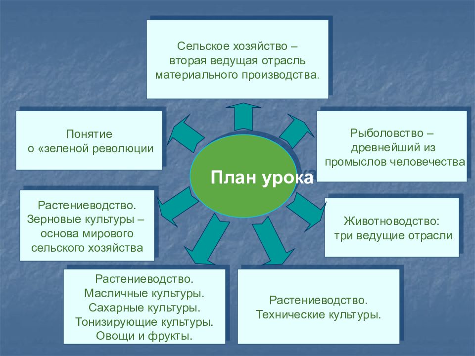 Схема мирового сельского хозяйства