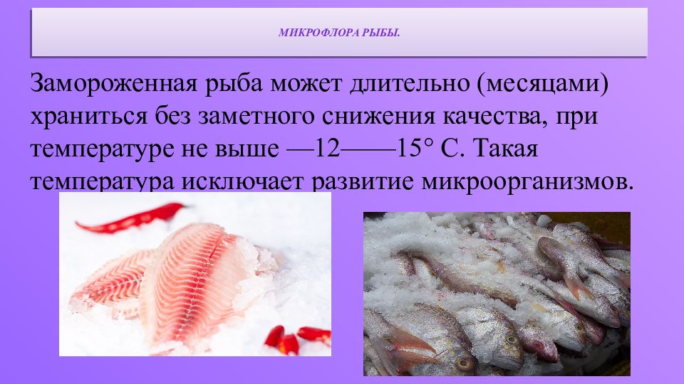 Оценка качества рыбы. Микрофлора рыбы. Микрофлора рыбных продуктов. Микрофлора рыбы презентация. Микробиология рыбы и рыбных продуктов.