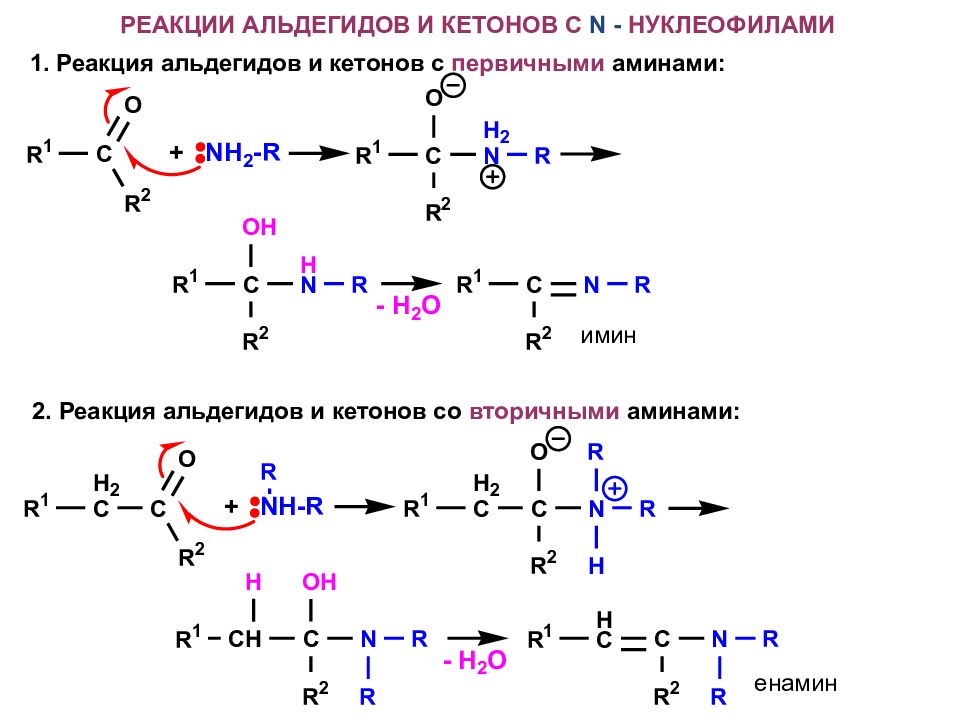 Уксусный альдегид реакция соединения. Механизм реакции альдегидов с аминами. Реакции Аминов с карбонильными соединениями. Карбонильных соединений с первичными аминами. Механизм реакции альдегида с Амином.