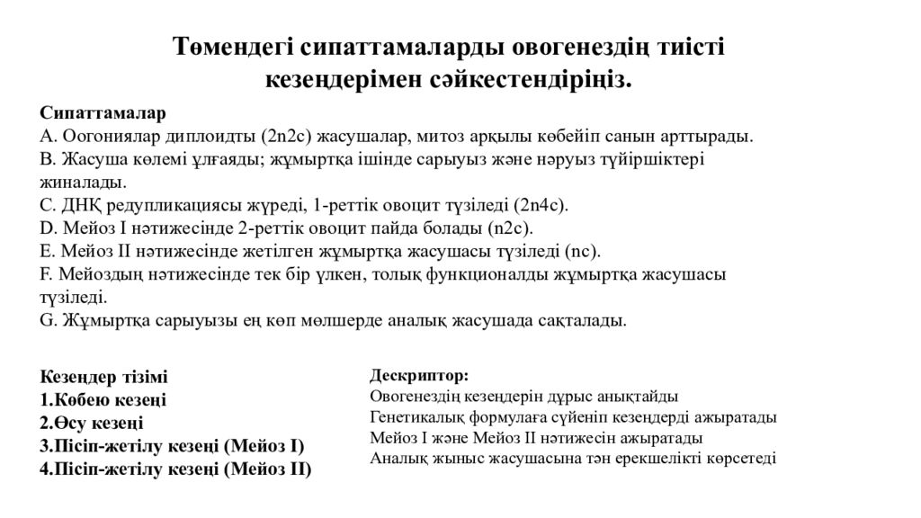Гаметогенез. Адам гаметогенезінің сатылары. Сперматогенез бен оогенезді