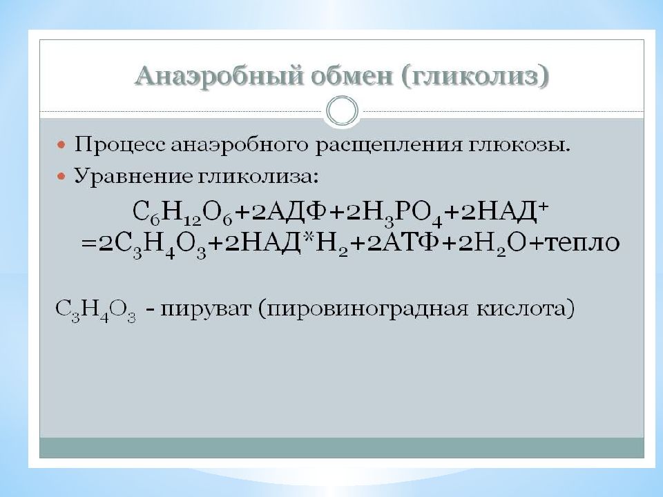 Процесс разложения глюкозы. Анаэробный энергетический обмен. Анаэробный гликолиз. Расщепление Глюкозы. Происходит бескислородное расщепление Глюкозы.