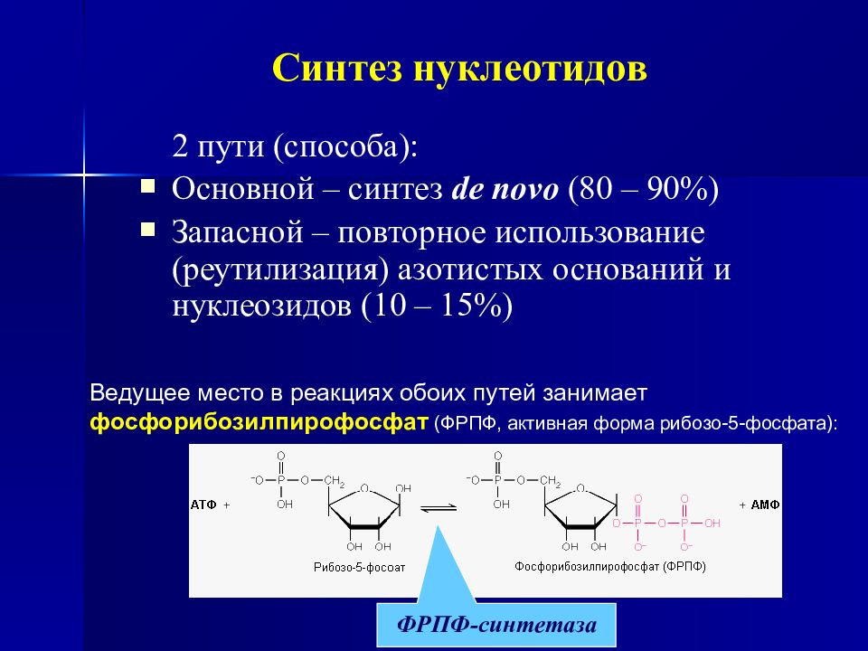 Сущность синтеза. Синтез нуклеотидов. Синтез рибонуклеотидов. Пути синтеза нуклеотидов. Синтез нуклеотидов схема.