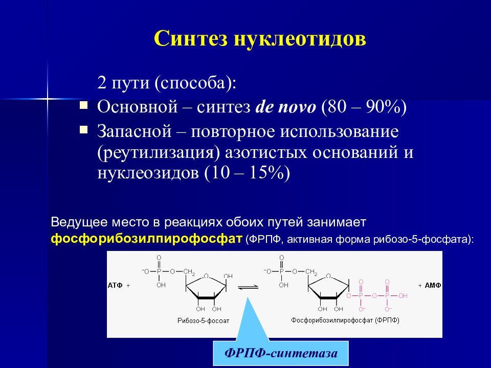 Суть синтеза. Синтез de novo биохимия. Пути синтеза нуклеотидов. Синтез. Синтез нуклеотидов de novo.