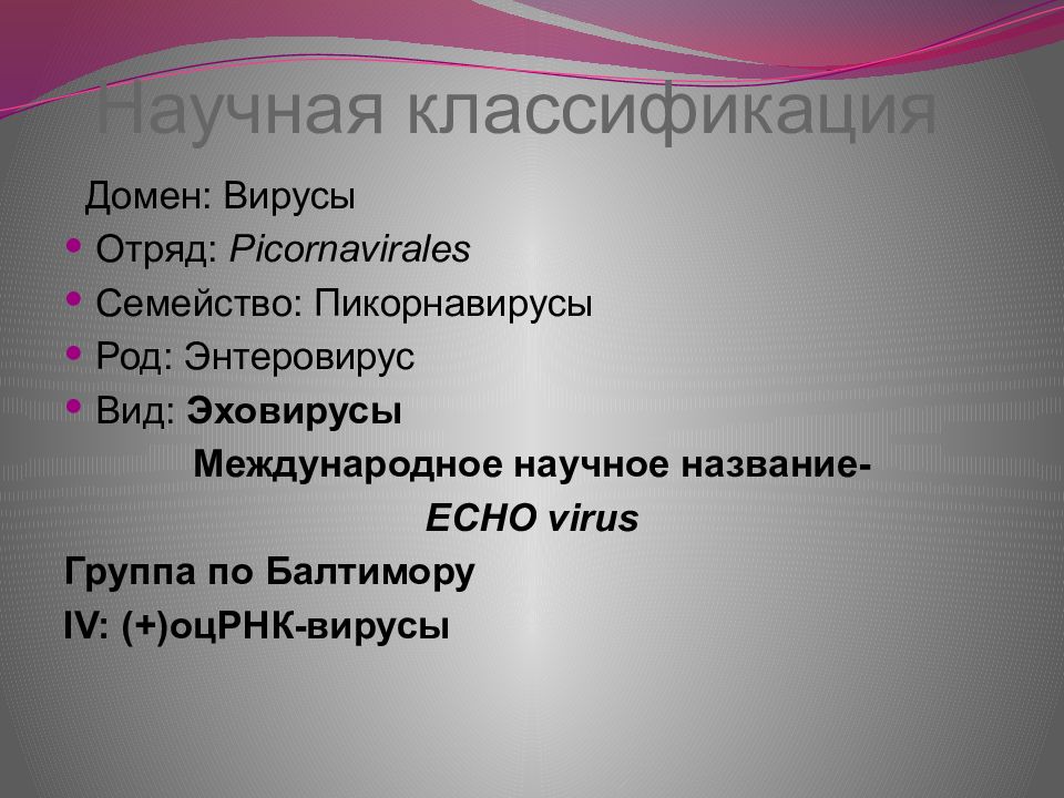 Научная классификация. Домен вирусы. Классификация семейства пикорнавирусов. Классификация доменов.