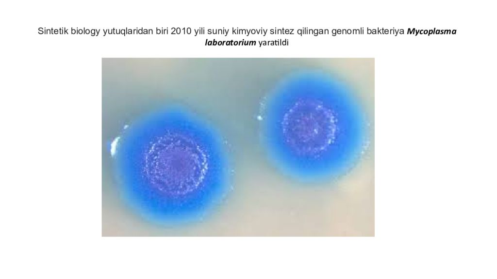DNK ning tuzilishi va DNK replikatsiyasi DNK ning tuzilishi va DNK replikatsiyasi