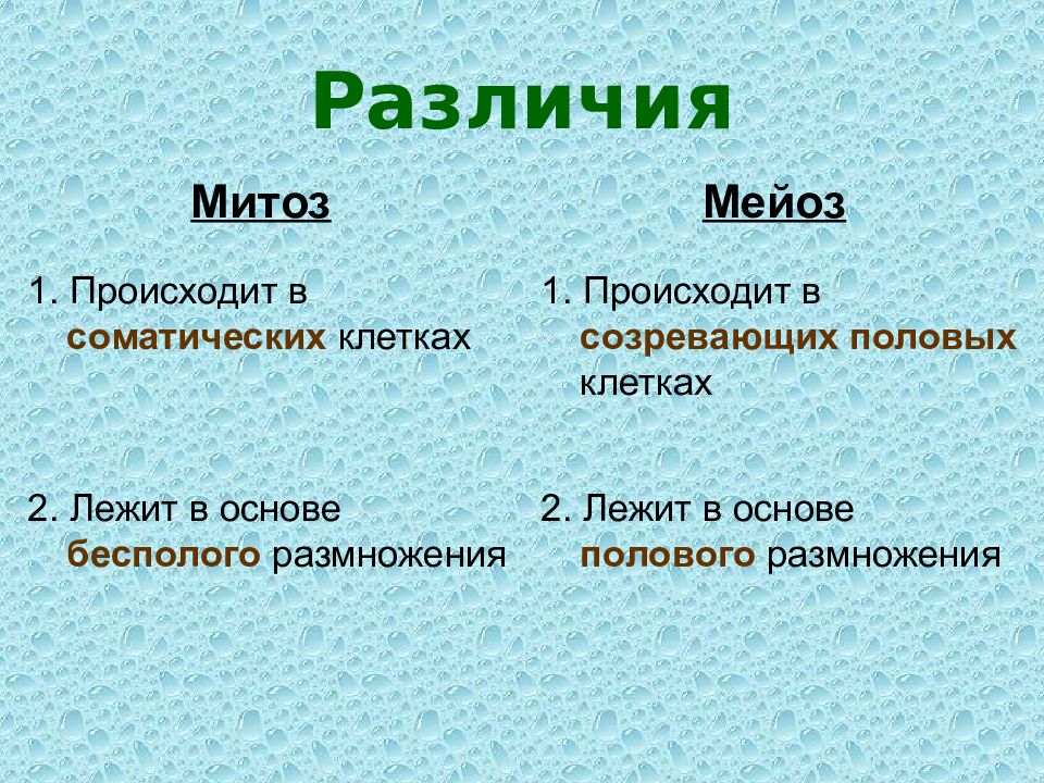 Отличие митоза от мейоза презентация