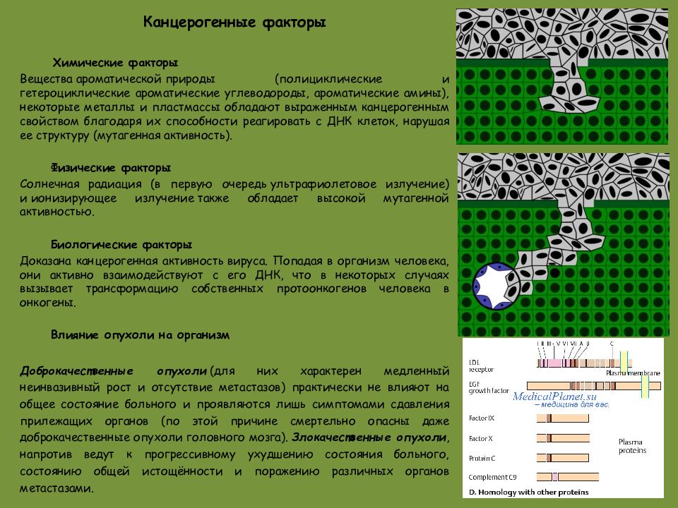 Химические факторы характеристика