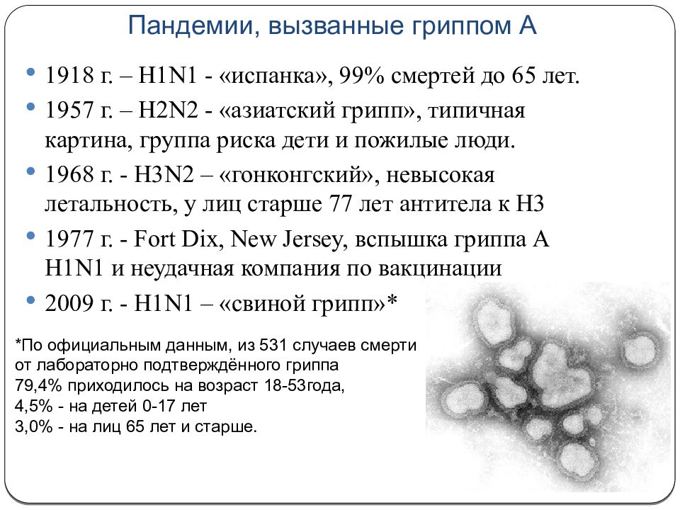 Свиной грипп презентация