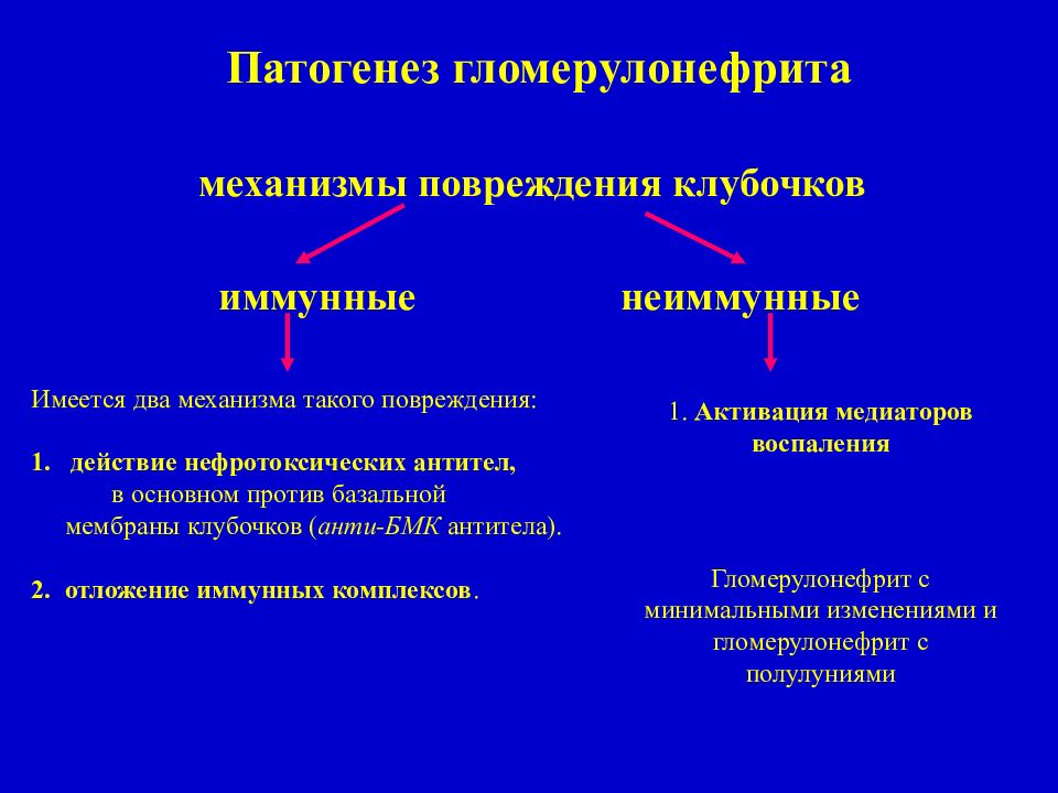 Патогенетические механизмы. Хронический гломерулонефрит этиология. Патогенез гломерулонефрита патогенез гломерулонефрита. Патогенез развития хронического гломерулонефрита. Патогенез острого гломерулонефрита схема.