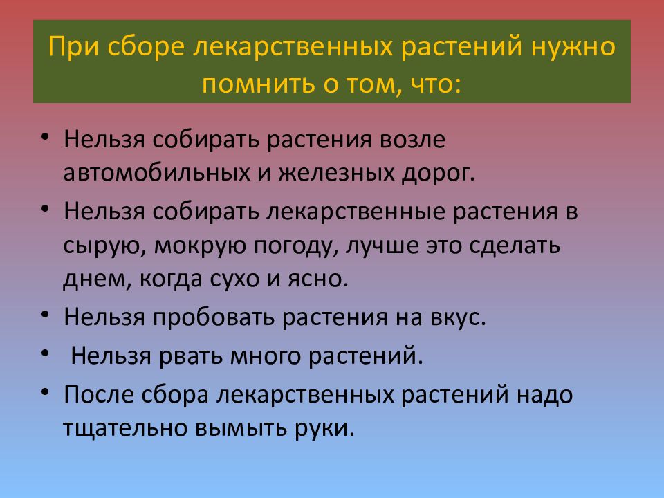 Сколько слайдов должно быть в проекте 6 класс