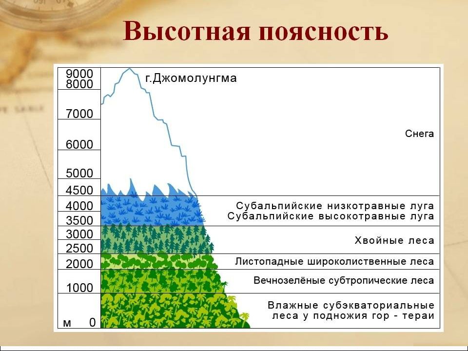 Расположите высотные пояса на схеме кавказских гор