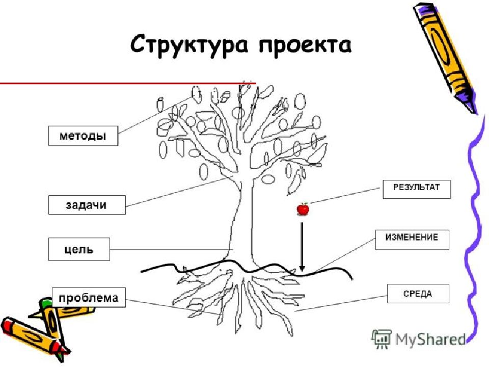 Структура социального проекта в школе