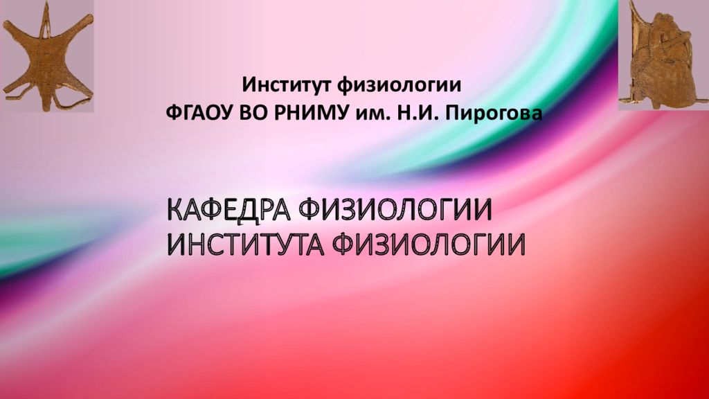 Кафедра физиологии института физиологии