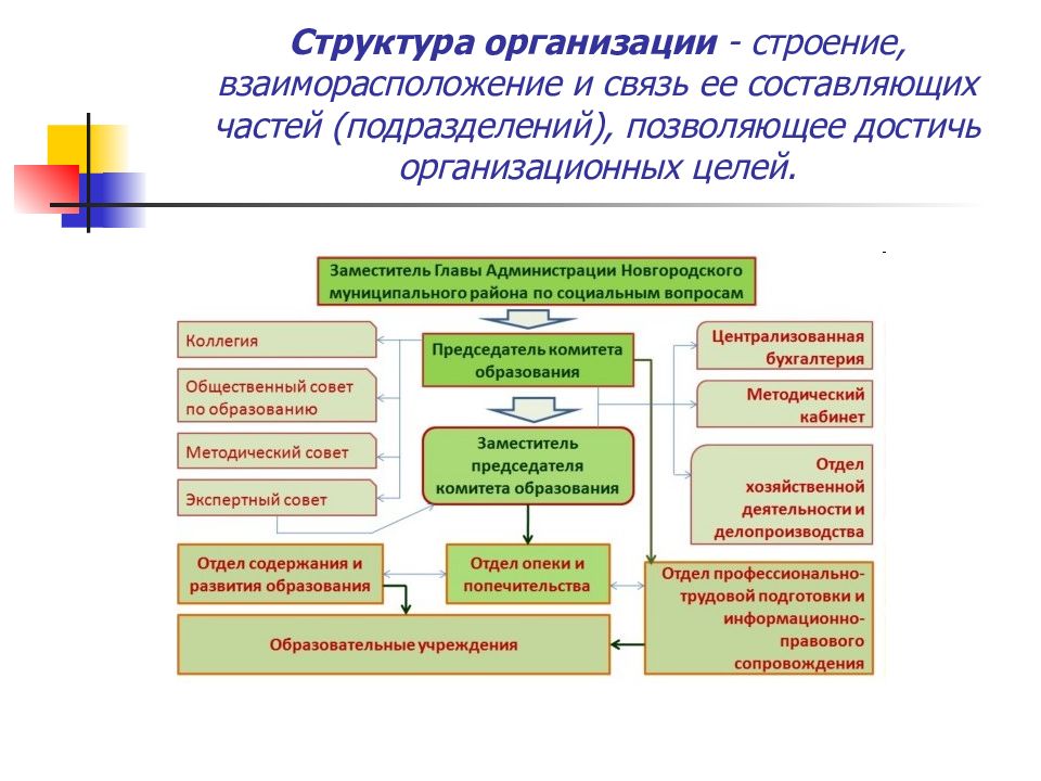 Устройство организации. Взаиморасположение. Взаиморасположение российских районов. Взаиморасположение российских районов схема ответ. Пример организации анатомия.