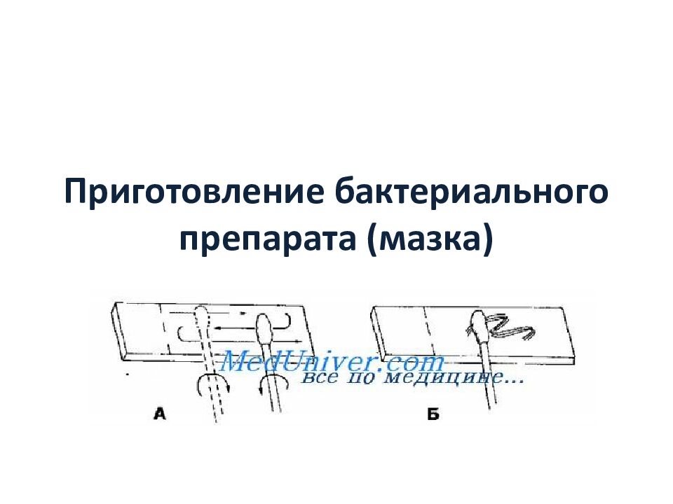 Приготовление бактериального препарата (мазка)