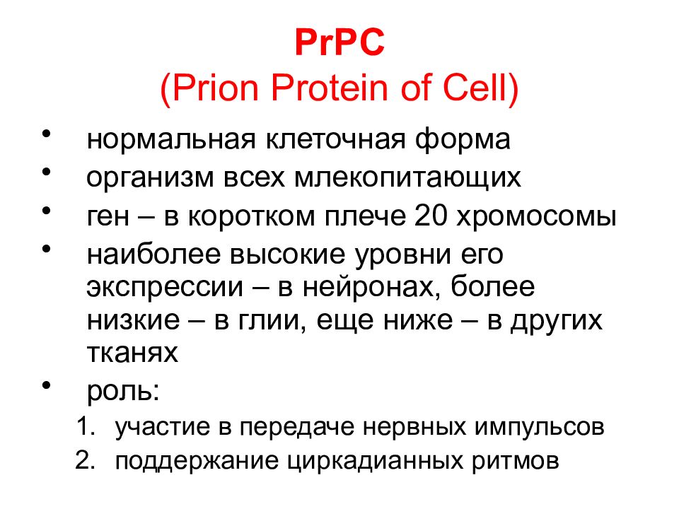 Онкогенные вирусы презентация