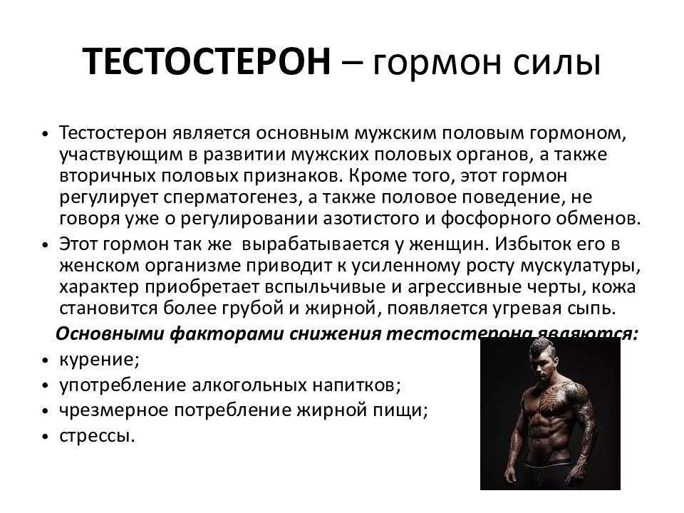 Что такое тестостерон. Тестостерон Король гормонов гормон королей. Тестостерон функции гормона. Мужской половой гормон тестостерон. Тестостерон основные эффекты.