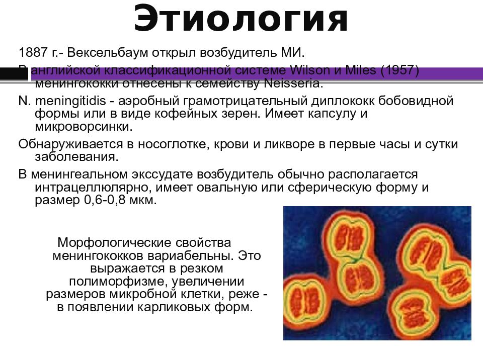 Лечение менингококковой инфекции у детей презентация