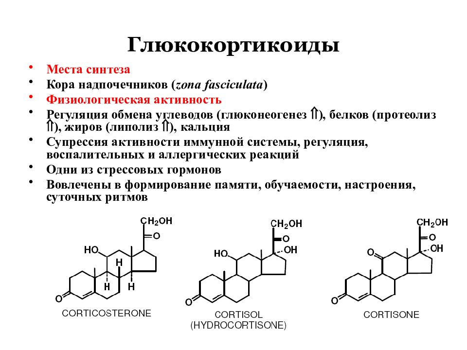 Гормоны надпочечники тестостерон