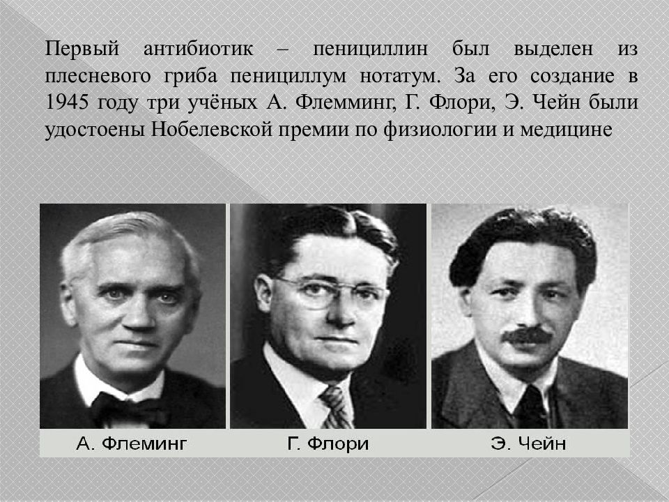 Ученых в три раза в. Первый антибиотик был выделен. Антибиотики Флори и чейн.