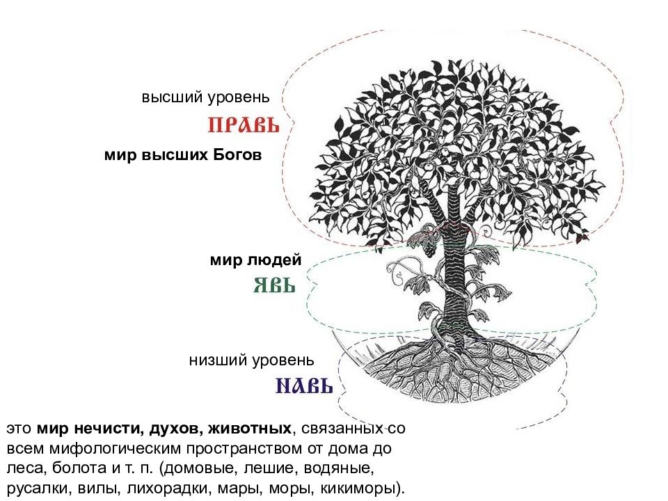 Презентация дерево жизни