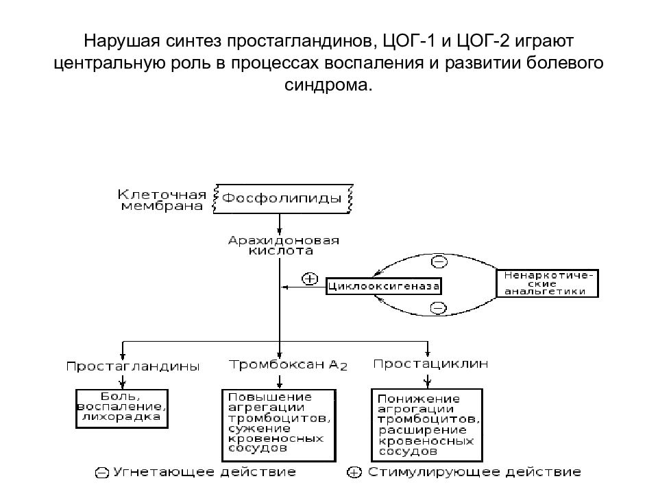 Синтез 2 схема. ЦОГ 1 простагландины. ЦОГ 1 И ЦОГ 2 простагландины. ЦОГ-1 И ЦОГ-2 схема. Схема образования простагландинов.
