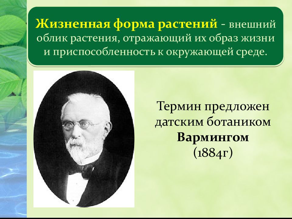 Какую жизненную форму имеет. Жизненные формы. Разнообразие жизненных форм растений. Многообразие жизненных форм. Жизненные формы растений презентация.