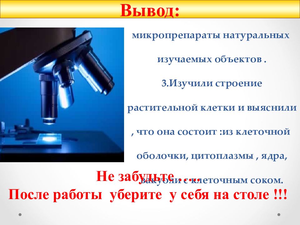 Лабораторная по биологии 5 класс лук. Вывод по работе с микроскопом. Вывод лабораторной работы с микроскопом. Вывод микроскопа. Лабораторная работа микроскоп.