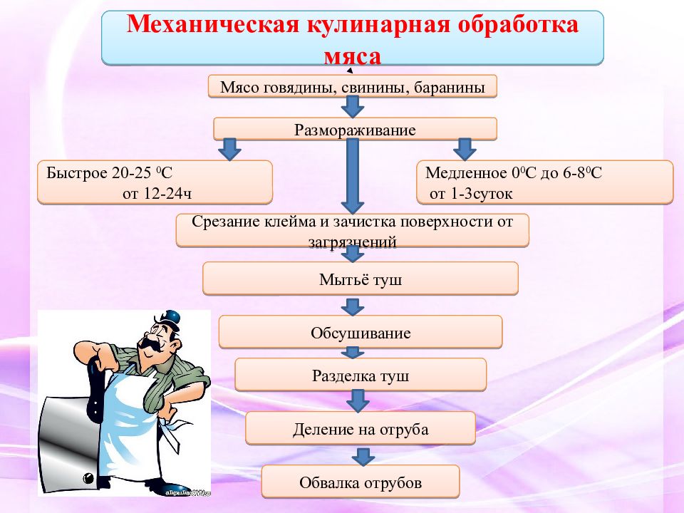 Разделка птицы на полуфабрикаты технологическая карта