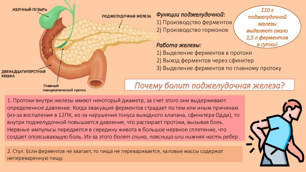 Можно ли есть помидоры при панкреатите поджелудочной. Кисель специализированный поджелудочный отзывы врачей. Синева носа панкреатит отзывы.