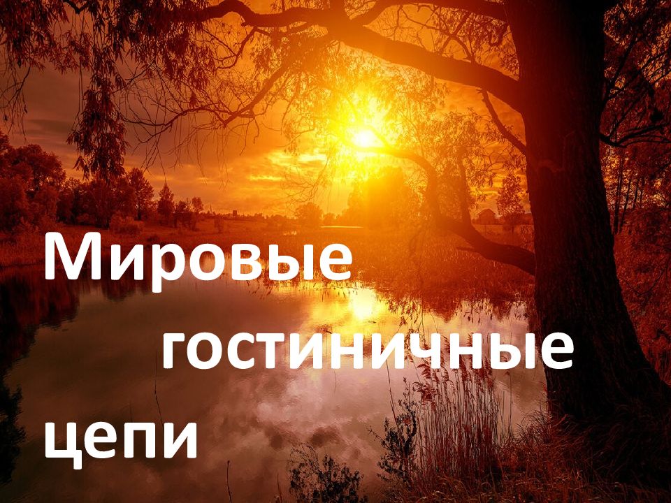 Мировые гостиничные цепи
