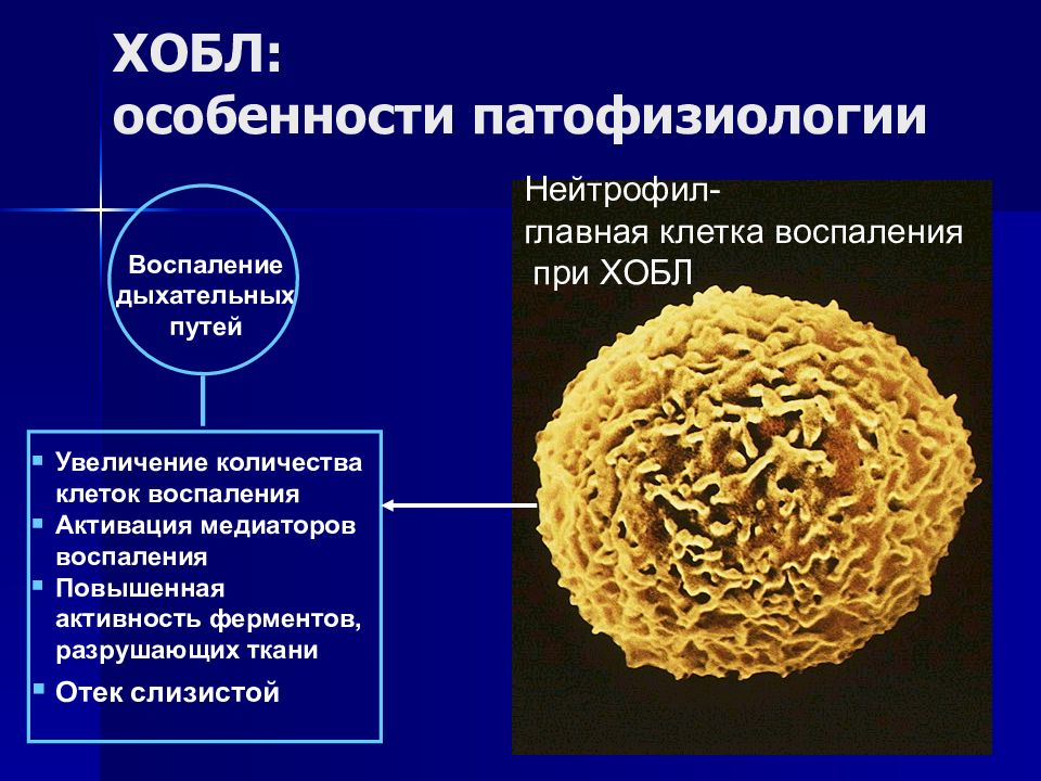 Патофизиология хобл презентация