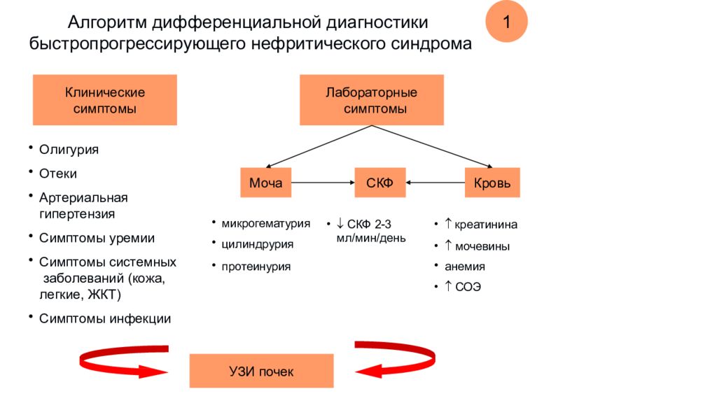 Гломерулонефрит у детей клинические рекомендации. Диагностический алгоритм гломерулонефрита. Алгоритм диагностики гломерулонефрит. Алгоритм дифференциальной диагностики формы ожирения. Алгоритм дифференциальной диагностики.