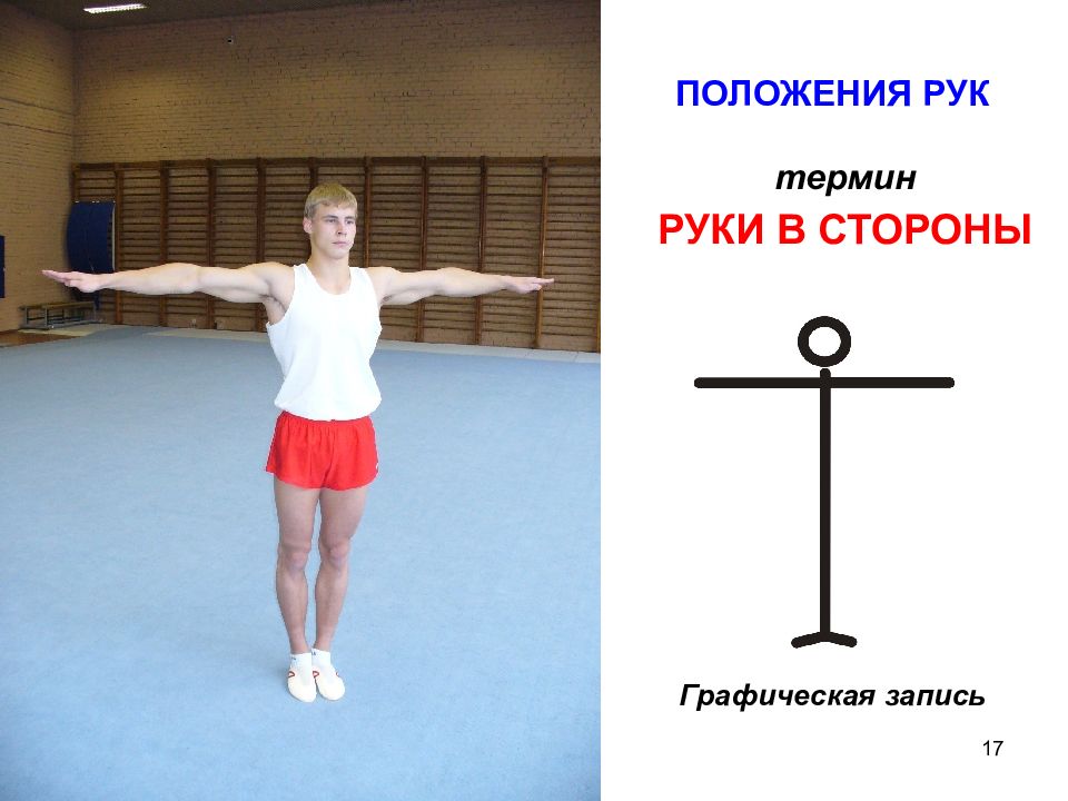 Положение 17. Терминология положения рук. Рука термины.